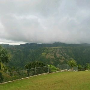 Meet your Posher, Roberta